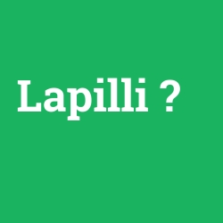Lapilli