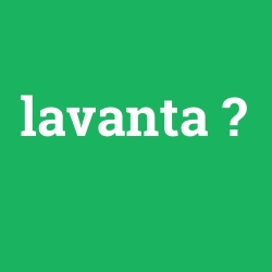 lavanta