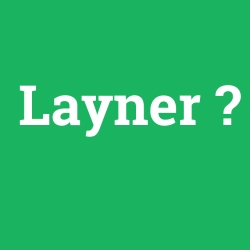 Layner