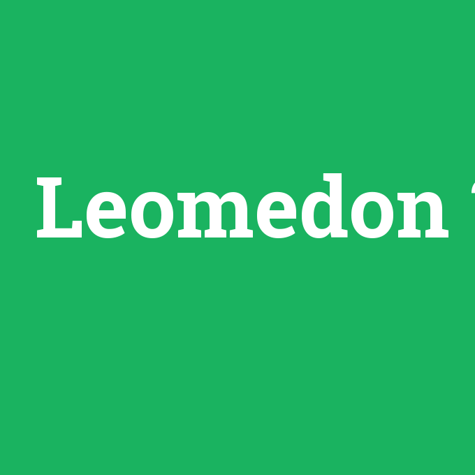 Leomedon, Leomedon nedir ,Leomedon ne demek