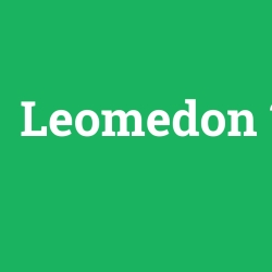 Leomedon