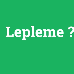 Lepleme