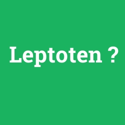 Leptoten
