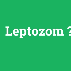 Leptozom