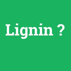 Lignin foto galeri