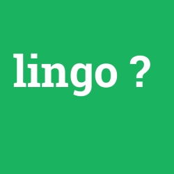 lingo, lingo nedir ,lingo ne demek
