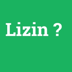 Lizin
