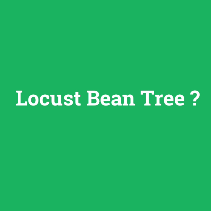 Locust Bean Tree, Locust Bean Tree nedir ,Locust Bean Tree ne demek