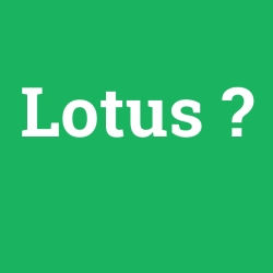 Lotus