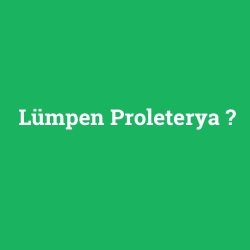 Lümpen Proleterya