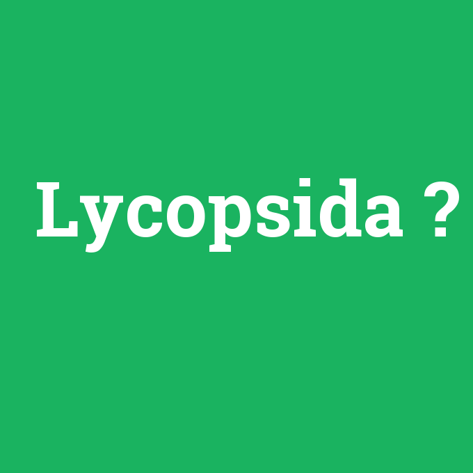 Lycopsida, Lycopsida nedir ,Lycopsida ne demek