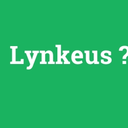 Lynkeus