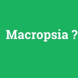 Macropsia