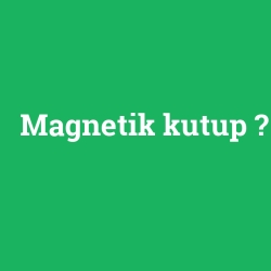 Magnetik kutup foto galeri