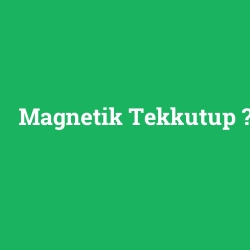 Magnetik Tekkutup