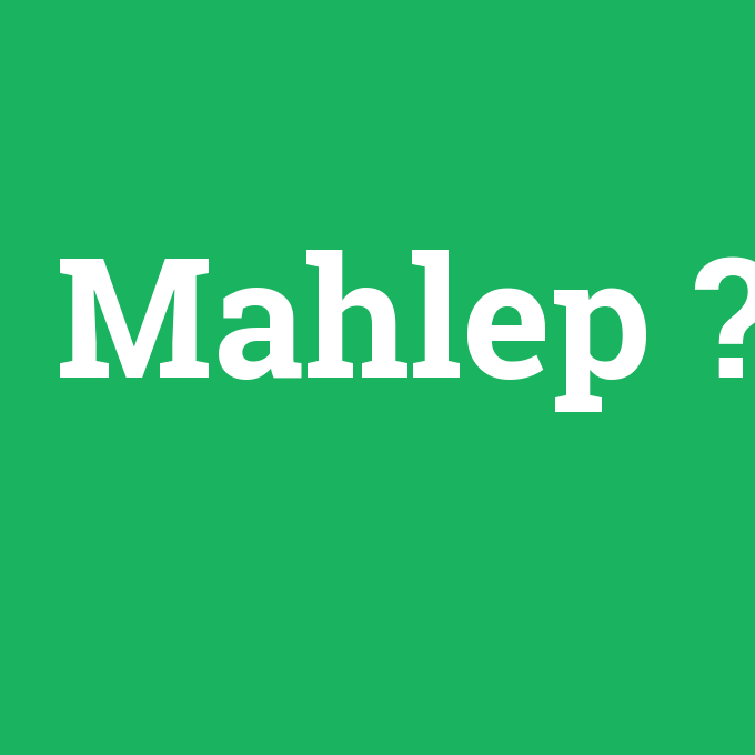 Mahlep, Mahlep nedir ,Mahlep ne demek