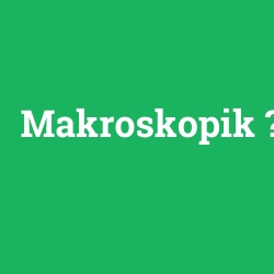 Makroskopik