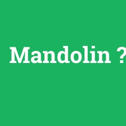 Mandolin