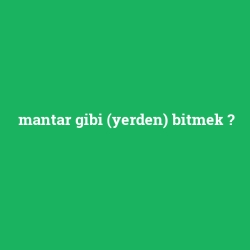 mantar gibi (yerden) bitmek