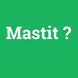 Mastit