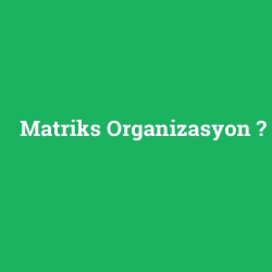 Matriks Organizasyon