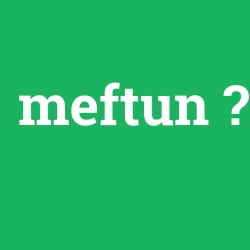 meftun foto galeri
