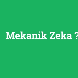 Mekanik Zeka