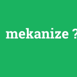 mekanize
