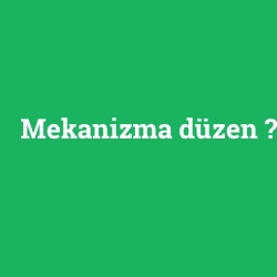 Mekanizma düzen