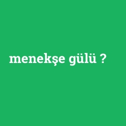 menekşe gülü