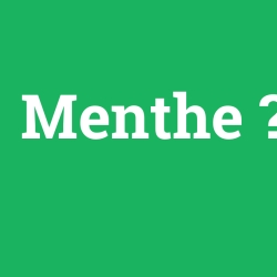 Menthe