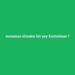 meramın elinden bir şey kurtulmaz