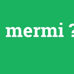 mermi