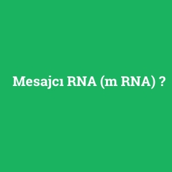 Mesajcı RNA (m RNA) foto galeri