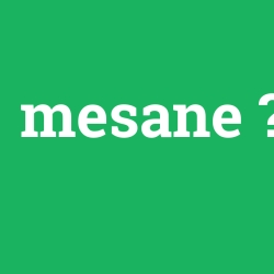 mesane
