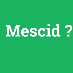 Mescid foto galeri