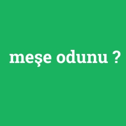meşe odunu