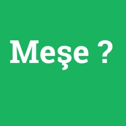 Meşe