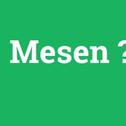 Mesen