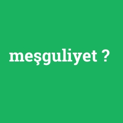 meşguliyet