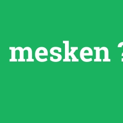 mesken foto galeri