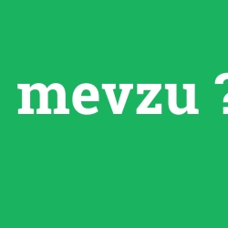 mevzu