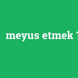 meyus etmek