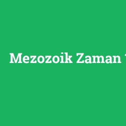 Mezozoik Zaman