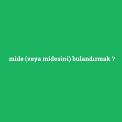 mide (veya midesini) bulandırmak