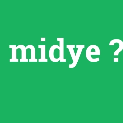 midye
