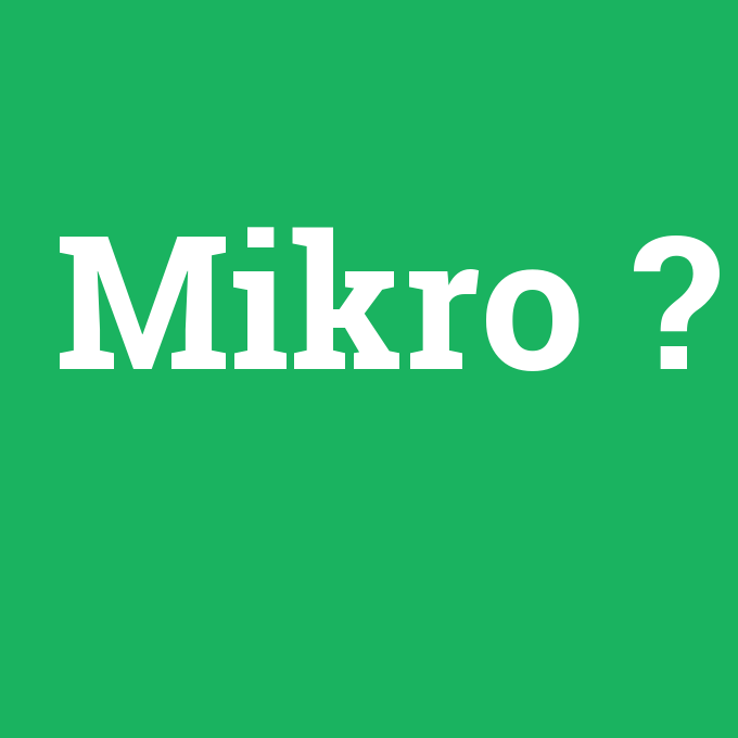 Mikro, Mikro nedir ,Mikro ne demek