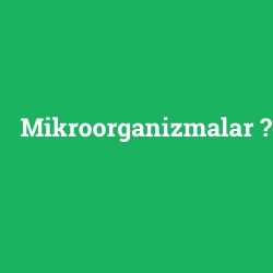 Mikroorganizmalar