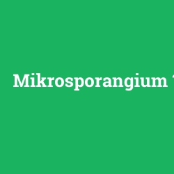 Mikrosporangium foto galeri
