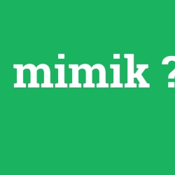 mimik
